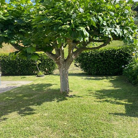 Moradia Rustica Jardim Villa Caloura Ngoại thất bức ảnh